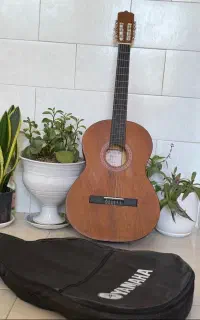 گیتار پارسی سالم
