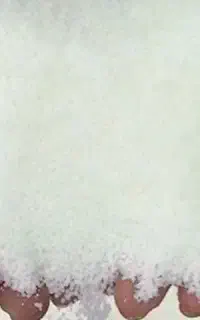 کود سفید اوره کشاورزی