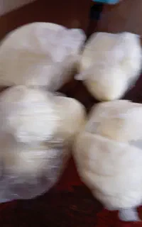 کره طبیعی و اصل گوسفند
