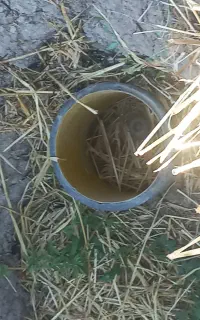جهت کارگر ابیاری رایزر