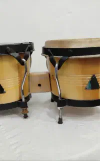 بینگو بنگو