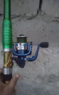 لنسر
