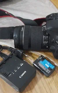 کنون 80d