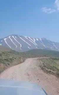 باغ مردق چای راهنمایی