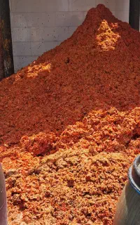 تفاله گوجه