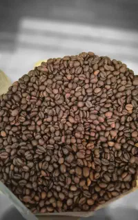 فروش عمده قهوه (برشته کاری جهان)