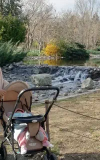 کالسکه و کریر