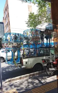 موسسه به سوی بهشت زهرا حجله های ترحیم قیمت مناسب