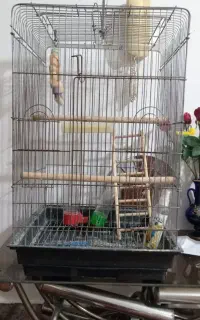 قفس پرنده