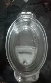 ظرف مرغ