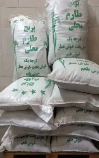 برنج فجر سوزنی گرگان