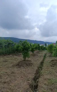 علفتراشی باغات کوچک و بزرگ