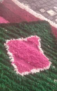 گلیم فرش تازه از دار افتاده برجسته