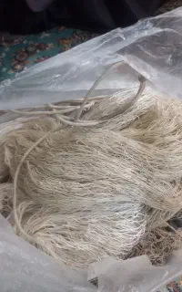 تور ماهی گیری سالیک سالیزنی