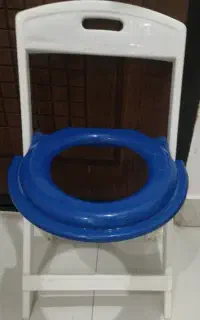 توالت فرنگی