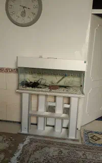 اکواریوم سالم