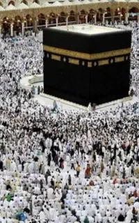 سه عدد فیش حج عمره با بهترین قیمت