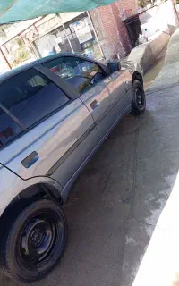 پژو دلفینی