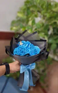 شقایق