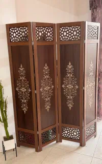پارتیشن، پاراوان نو و سالم