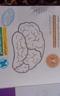 تست هوش کمپلکس