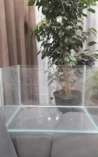 اکواریوم ۹۰۰ تومان