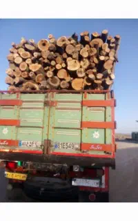 خریدچوب‌/قطع‌درخت
