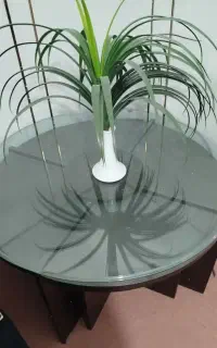 میز عسلی