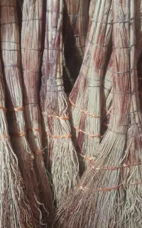 جارو