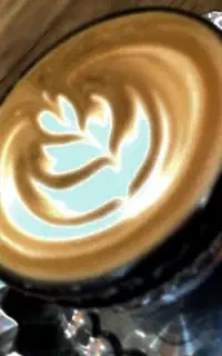 کاپوچینو