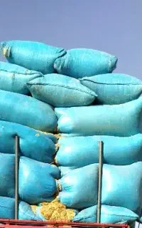 کاه گندم تحویلی