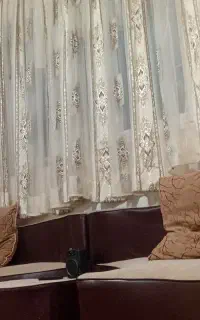 نظافت ویلا.حیاط باغچه و مربوطه