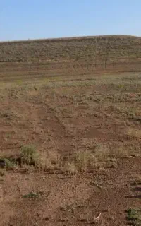 هزارمتر زمین دیم برخیابان عالی برای سرمایه گذاری