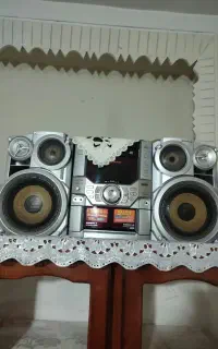 ظبط
