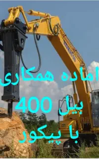 داوطلبانه