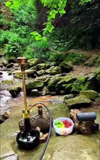 راهنمایی قلیونی