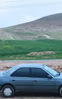 پژو۴۰۵