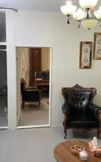 وکیل، وکالت تخصصی دعاوی