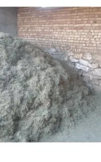 یونجه کوبیده شده