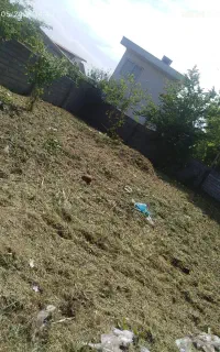 خدمات چمن زنی با اکیپ مجرب