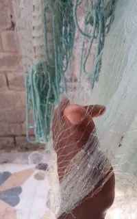 تورگاریزی