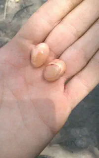 مهره عقیق یمنی اصل
