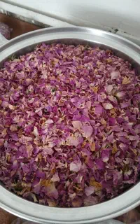 گل محمدی