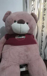 عروسک خرسی