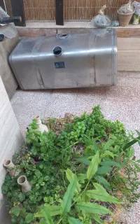 باک  گازوییل خاوری
