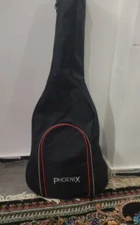 کیف گیتار