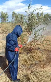سمپاشی تخصصی باغات و باغچه و مجتمع و ..