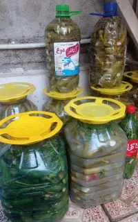 خیارشورتازه وانواع ترشی خانگی