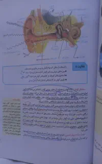 جزوه و کتاب