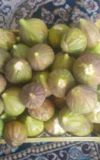 انجیر ژاپنی تازه چین وشیرین
